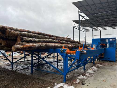 Изображение(Эстакада накопительная(загрузочный стол)  с поштучной выдачей бревен ЭНПВ-50)