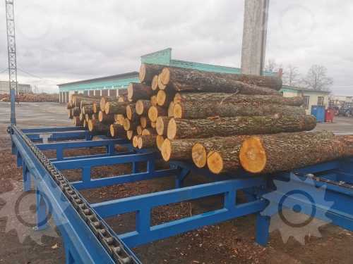 Изображени( Эстакада(стол) накопительная приводная для подачи бревен ЭН-50Т)