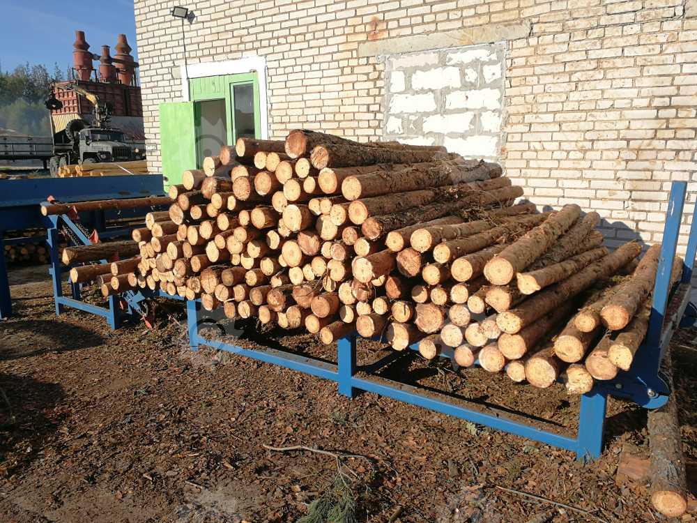 Эстакада(стол) накопительная приводная для подачи бревен ЭН-50